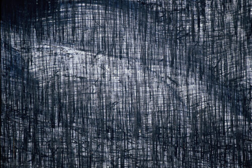 Nature's Lithograph