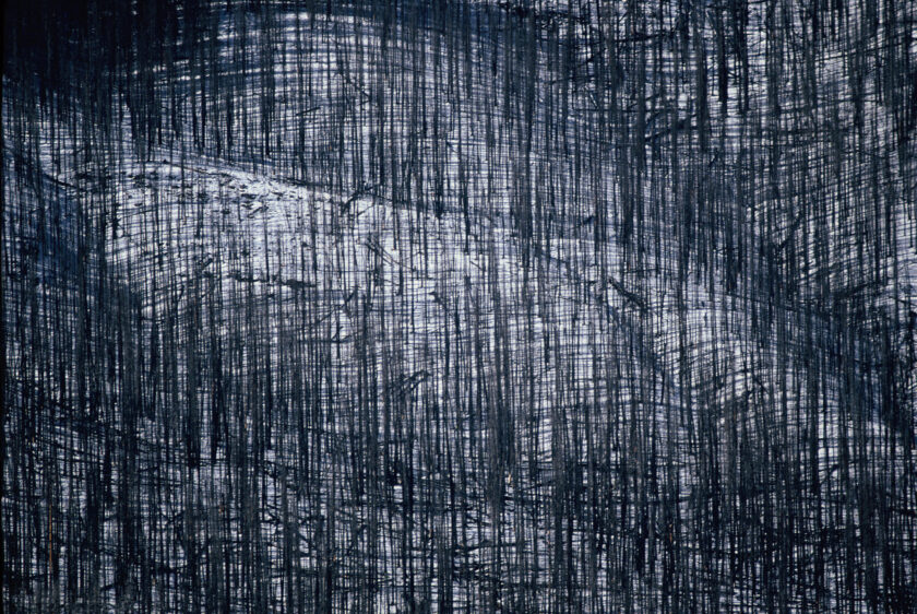Nature's Lithograph