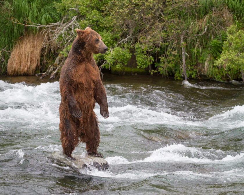Gone Fishing