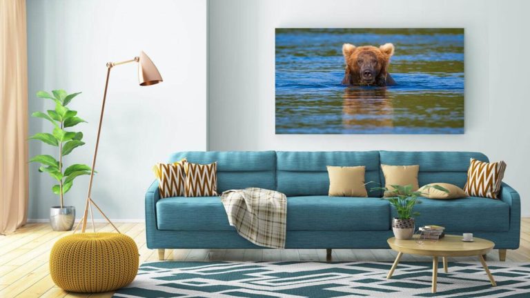 bear-livingroom-cropped