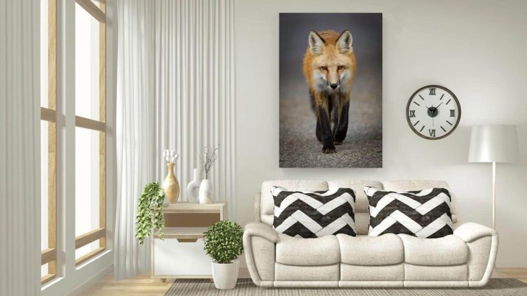 fox-livingroom