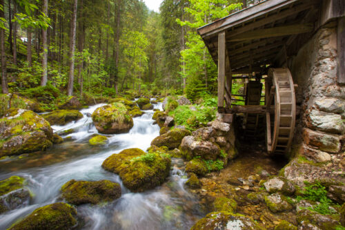 Days Gone By