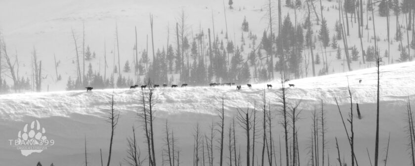 snowy river landscape