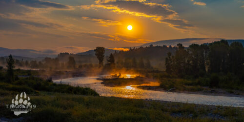 Magic Morning